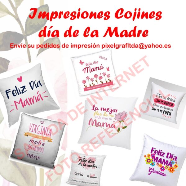 Cojines personalizadas regalo DIA DE LA MADRE