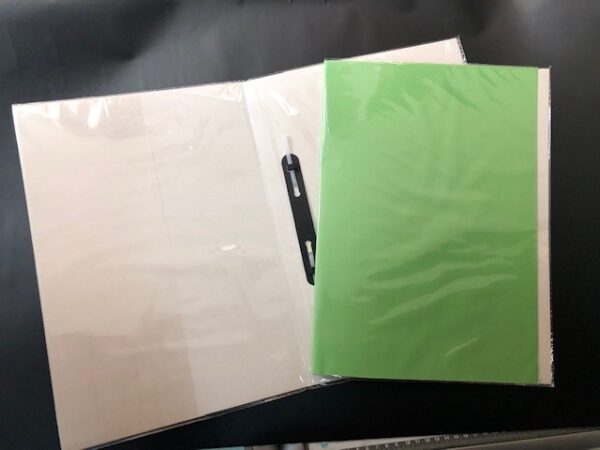 CARPETA PLASTIFICADA VERDE CLARO CORRIENTE GENERICO CON ACCO
